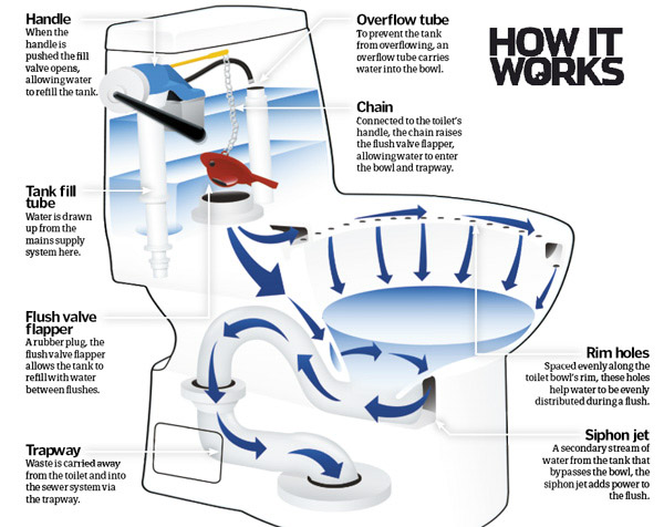 Cấu tạo bồn cầu Inax